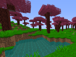 Sakura Forest