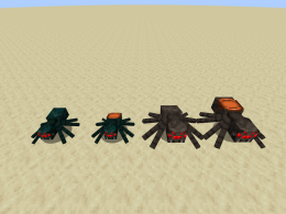 The 2 Spider Types & Their 4 Different States