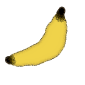 Profile picture for user insanity2